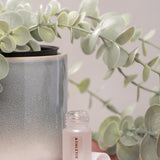 DEWY SKIN TRAVEL SET