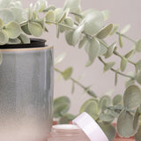 DEWY SKIN TRAVEL SET